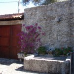 DSC00328