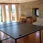 games room table tennis