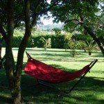 hammock