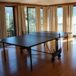 table tennis